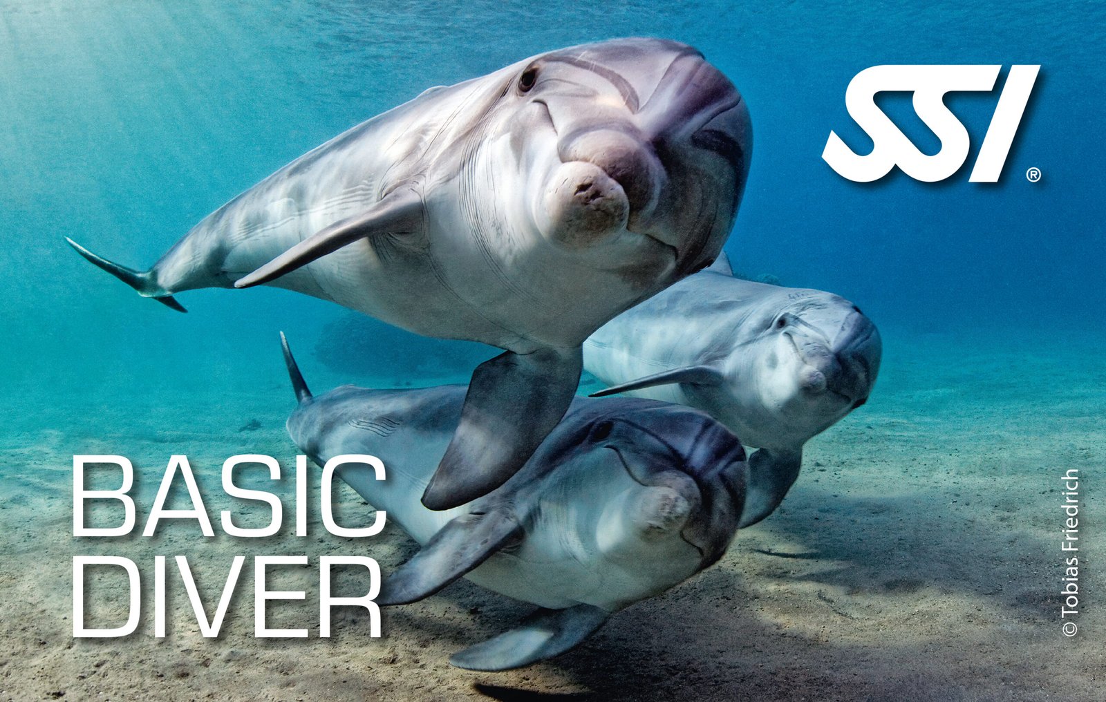 SSI Basic Diver Course with ChrisDiving Costa Rica