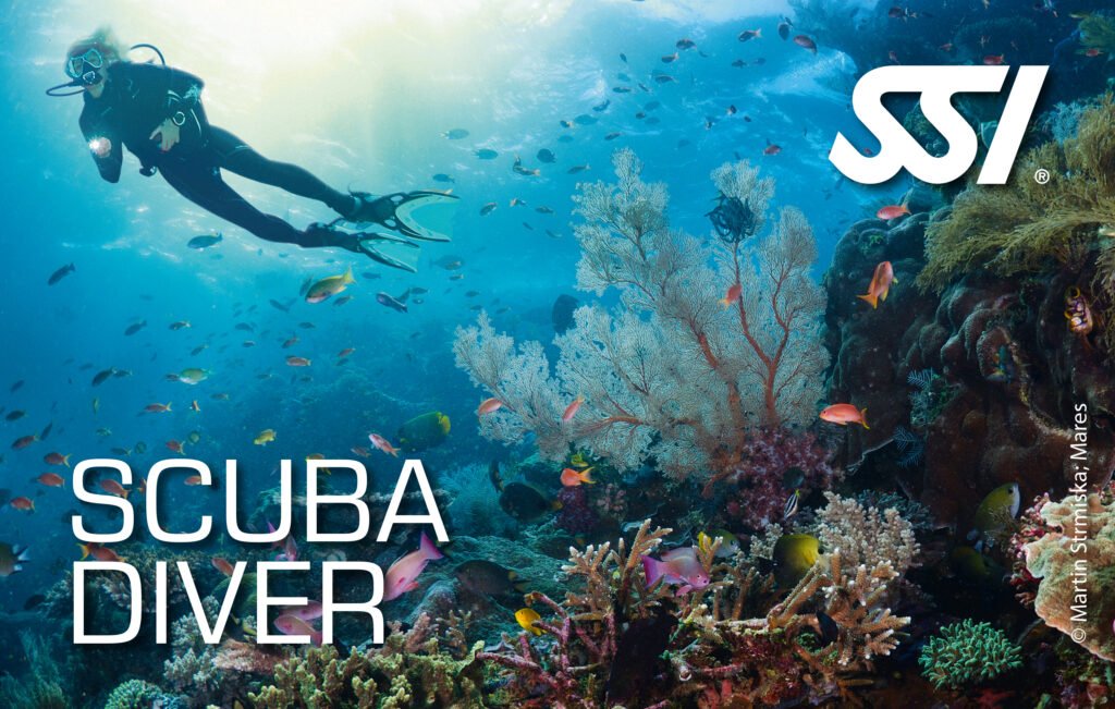 SSI Scuba Diver Certification with ChrisDiving dive Center Costa Rica