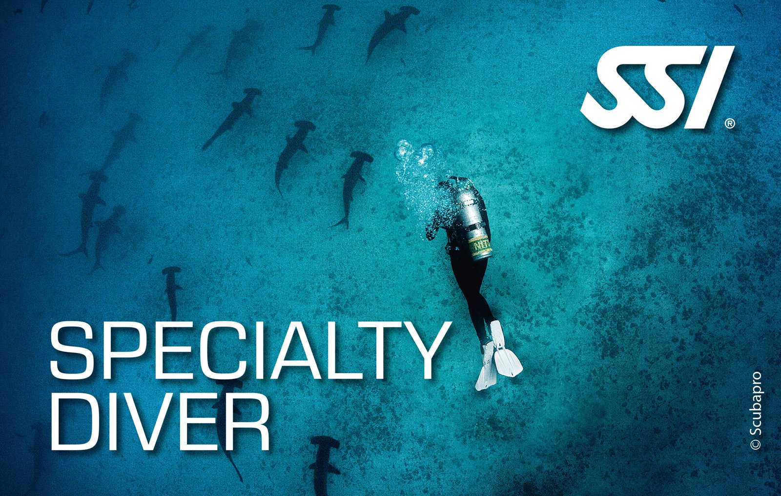 SSi Speciality Diver-perfect your skills with ChrisDiving Costa Rica