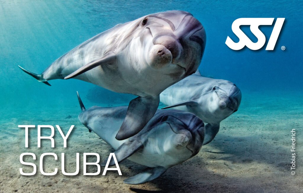 SSI Try Scuba Certification With ChrisDiving