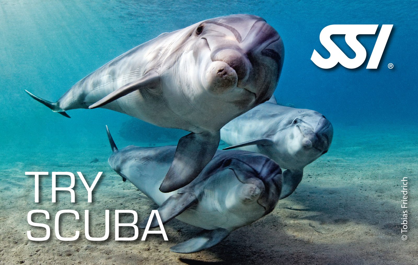 SSI Try Scuba Certification With ChrisDiving