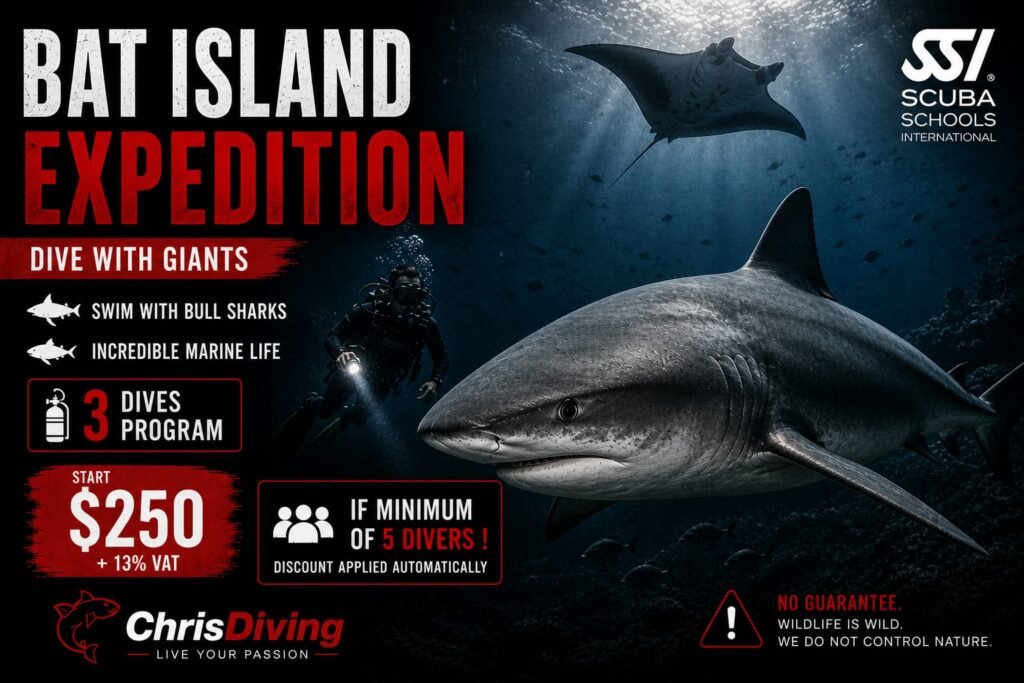 Bat Island Expedition Dive with the Bull Sharks with ChrisDiving Dive Center Playa Potrero Guanacaste