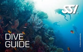 Dive Guide SSI Dive Guide Certification