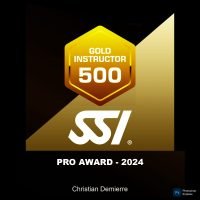 Gold SSI Instructor Award SSI Gold Instructor 500