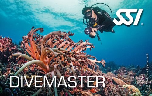 Presentation-Divemaster SSI Divemaster Course and Certification